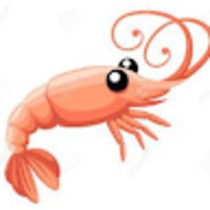 Meet your Posher, Glassshrimp